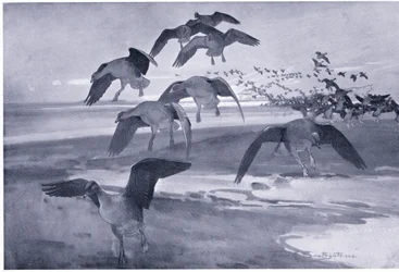 Dropping on the High Sands